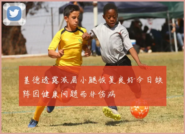 基德透露浓眉小腿恢复良好今日缺阵因健康问题而非伤病